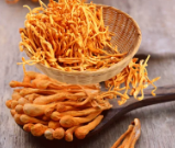 Cordyceps Militaris